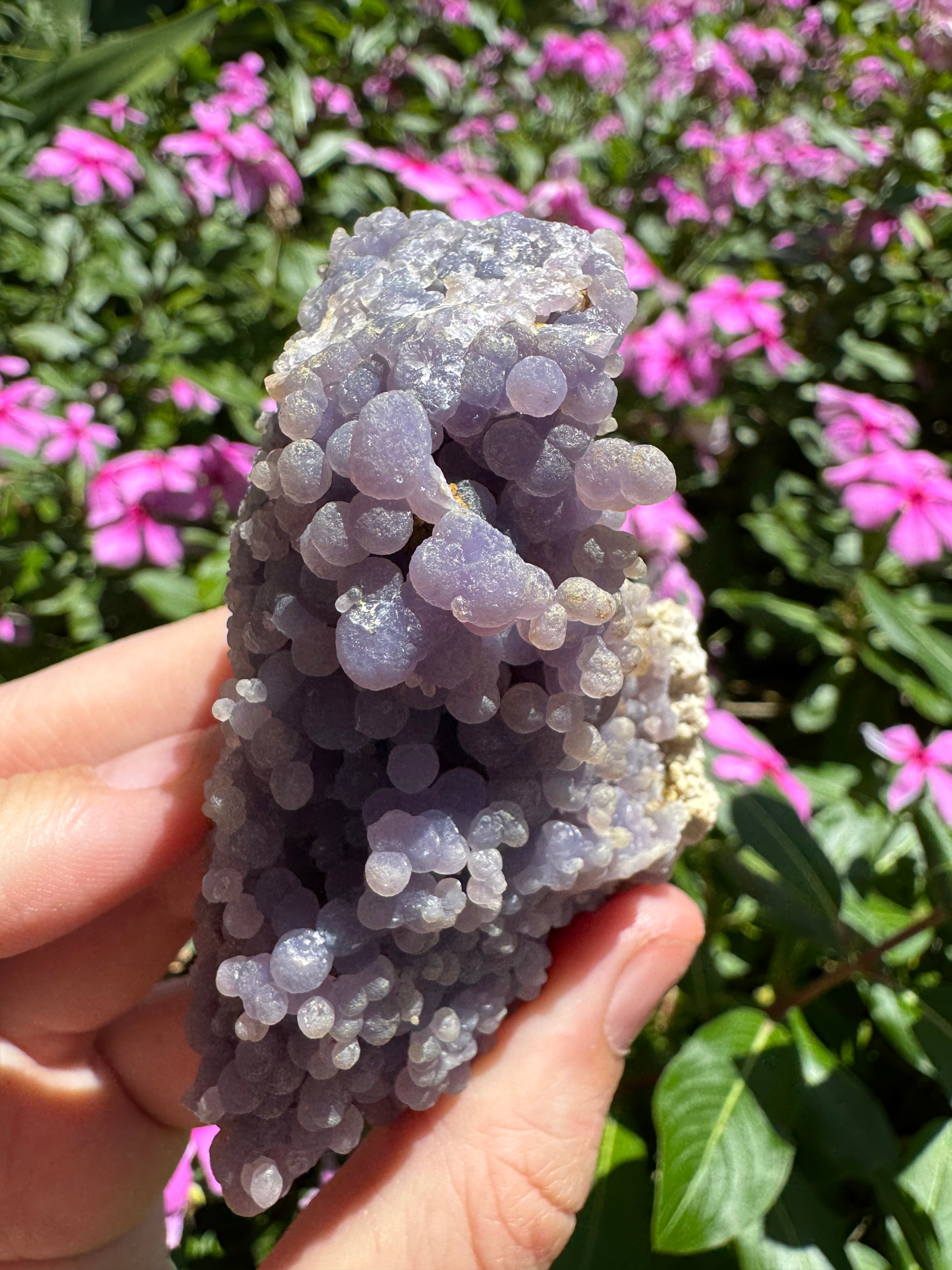 Natural Grape Agate Cluster