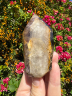 Inclusion Smoky Quartz Freeform