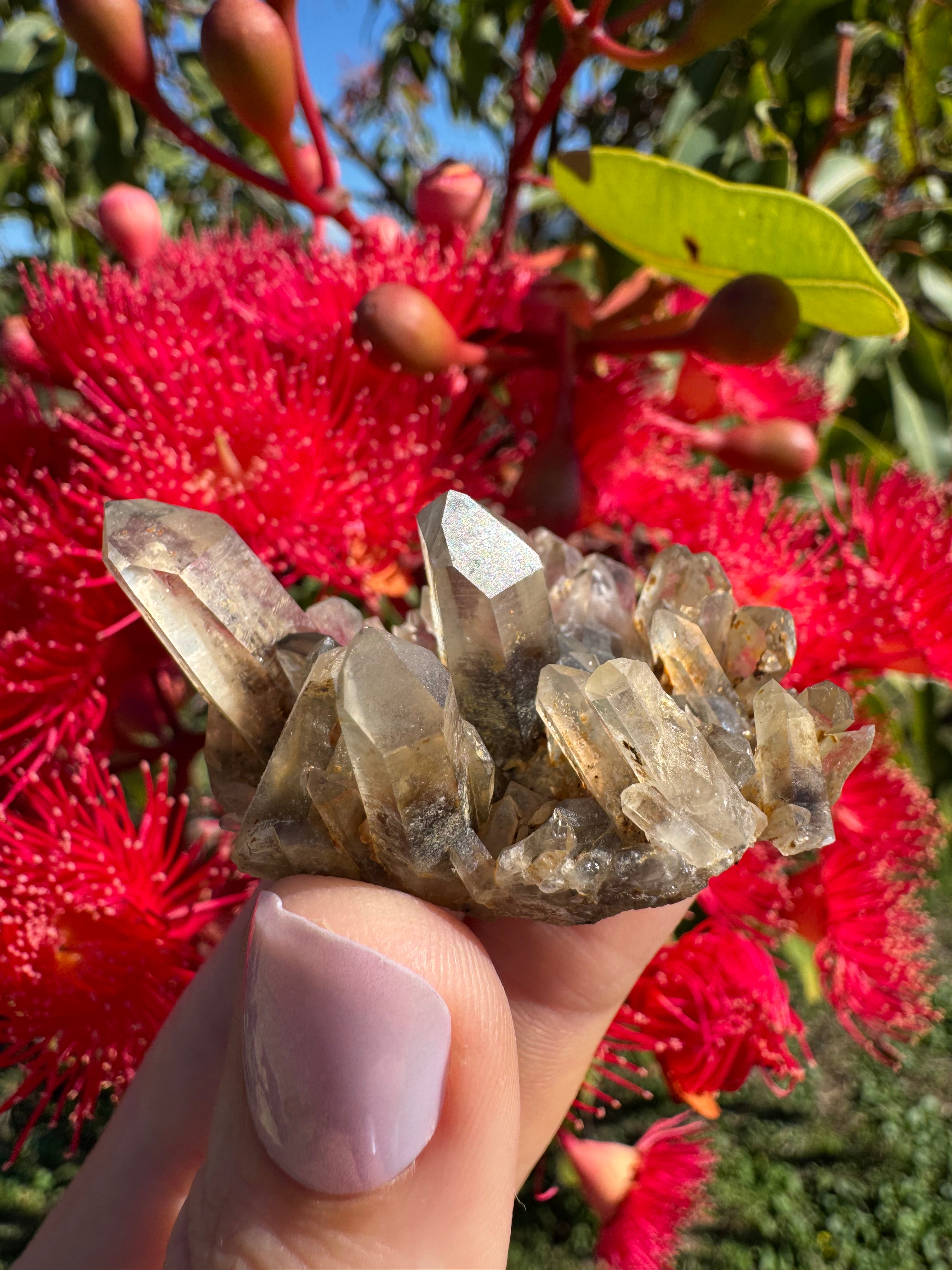 Hematite Phantom Quartz Cluster - Torrington