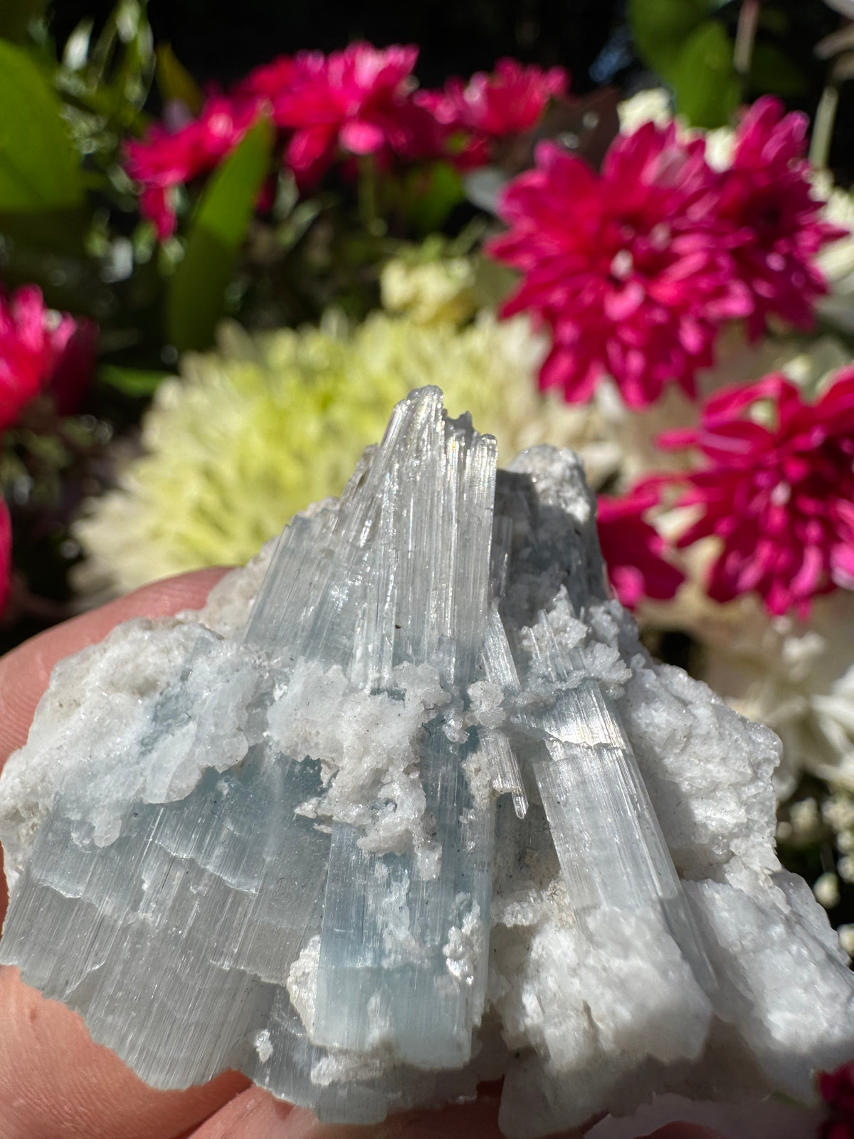 Cats Eye Aquamarine Specimen