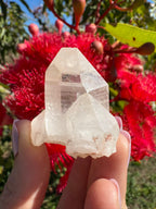 Himalayan Quartz Cluster