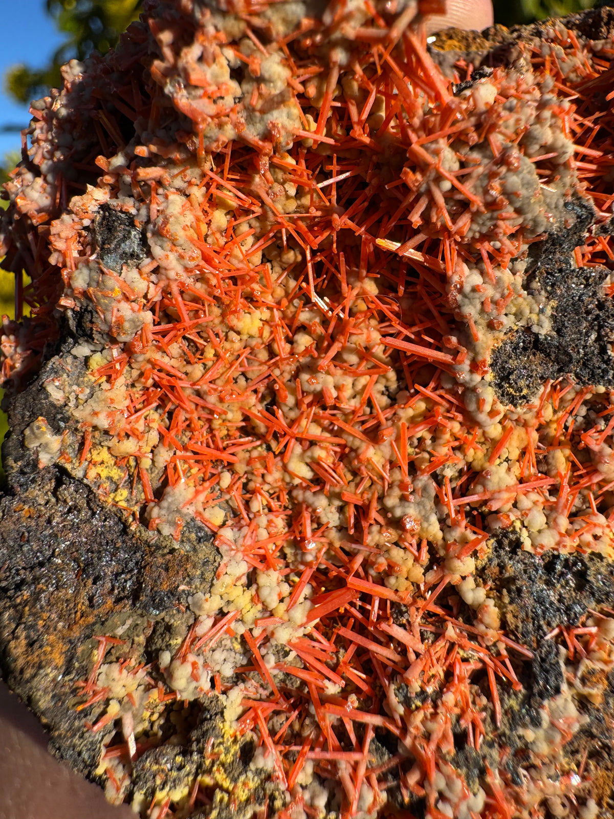Crocoite Specimen | Tasmania