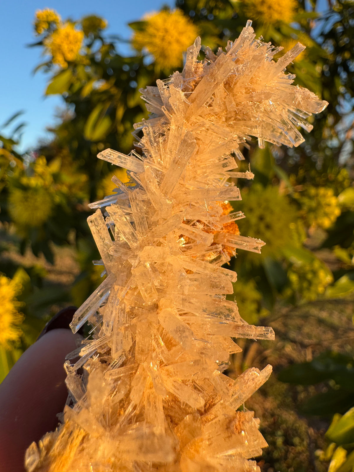 Selenite ‘Gypsum’ Natural Specimen - Chillingollah