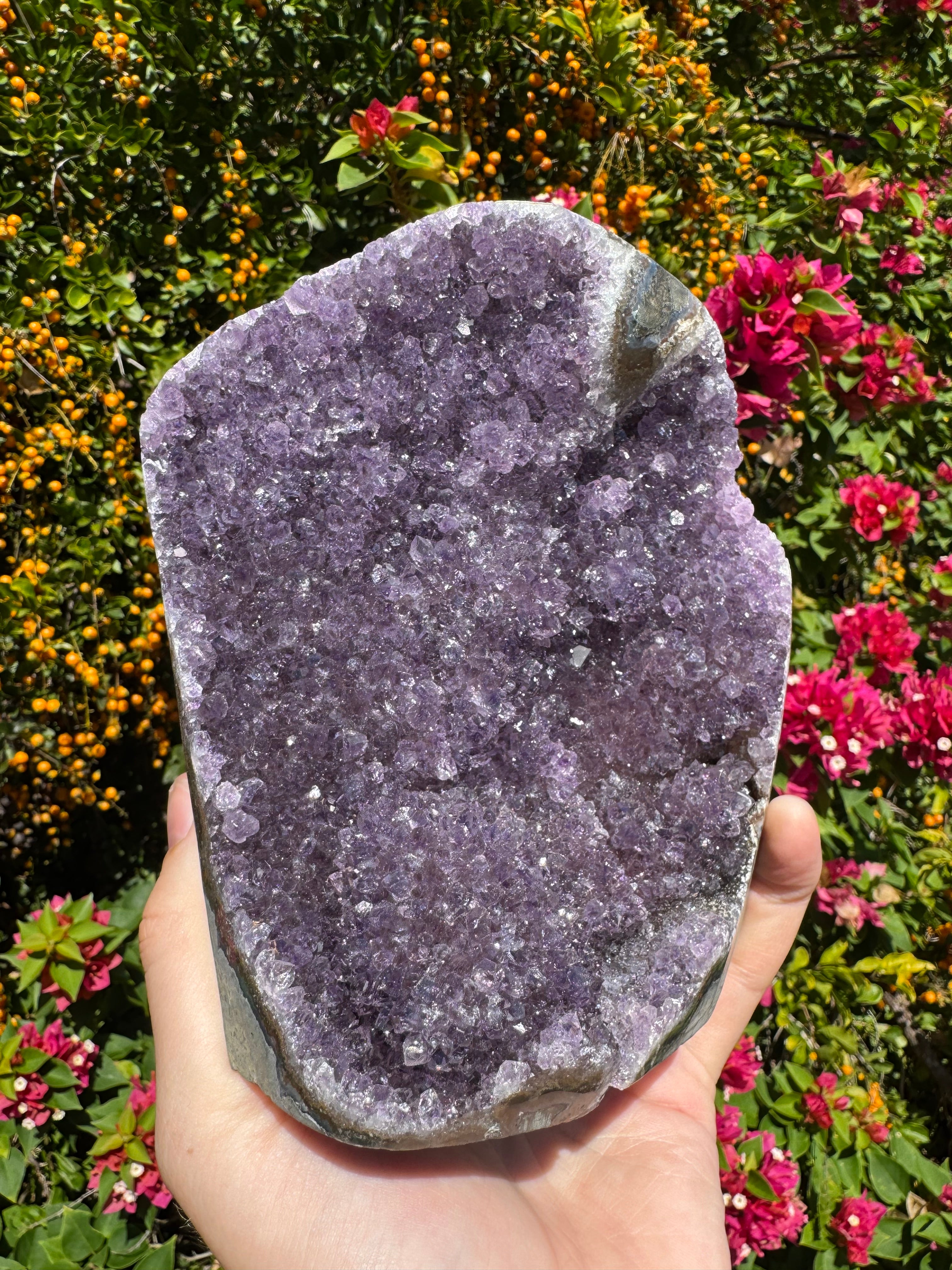 Amethyst Druzy Standing Geode  – 1.685kg