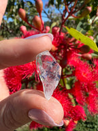 Herkimer Diamond Natural Specimen - Enhydro