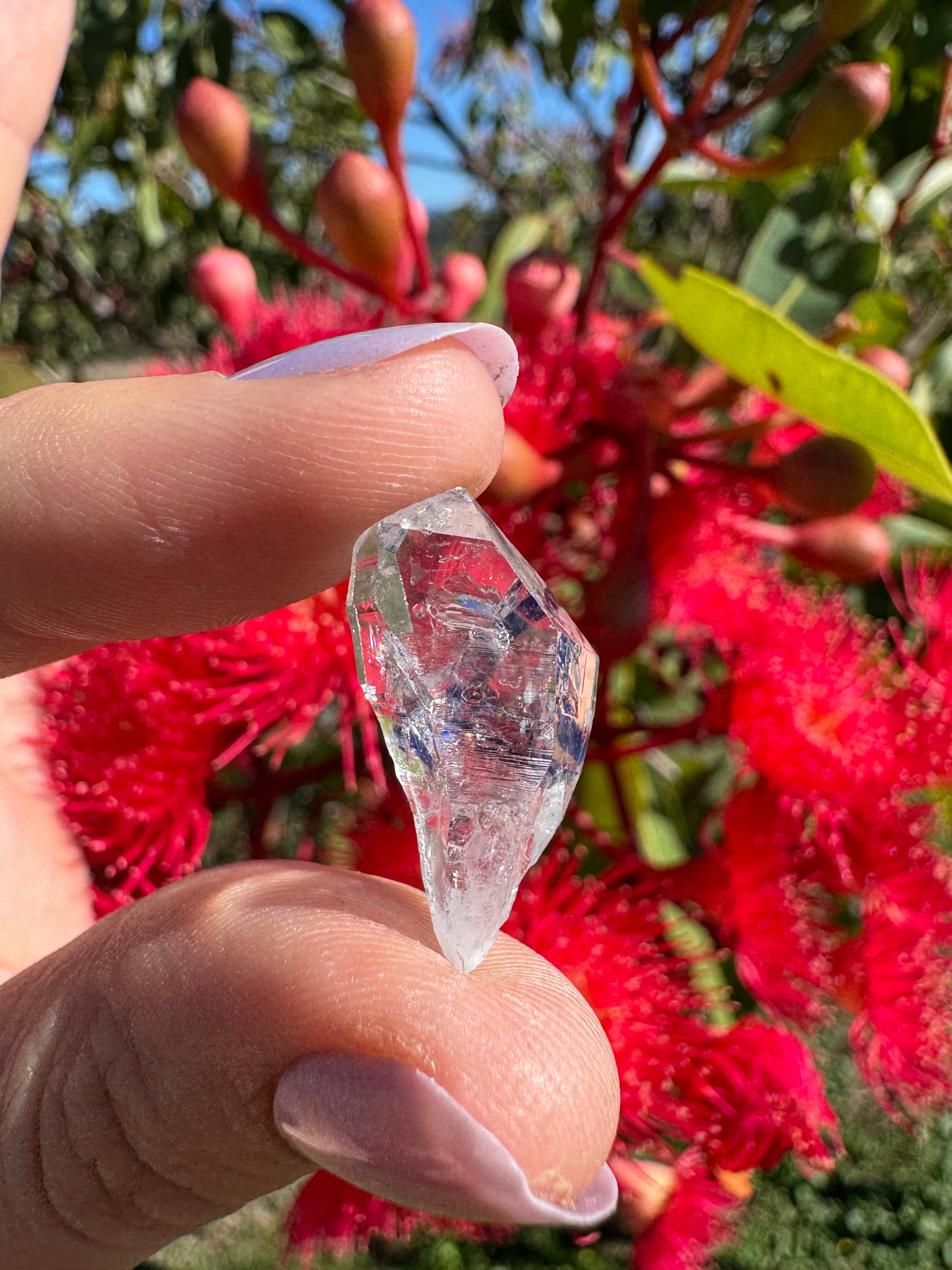 Herkimer Diamond Natural Specimen - Enhydro