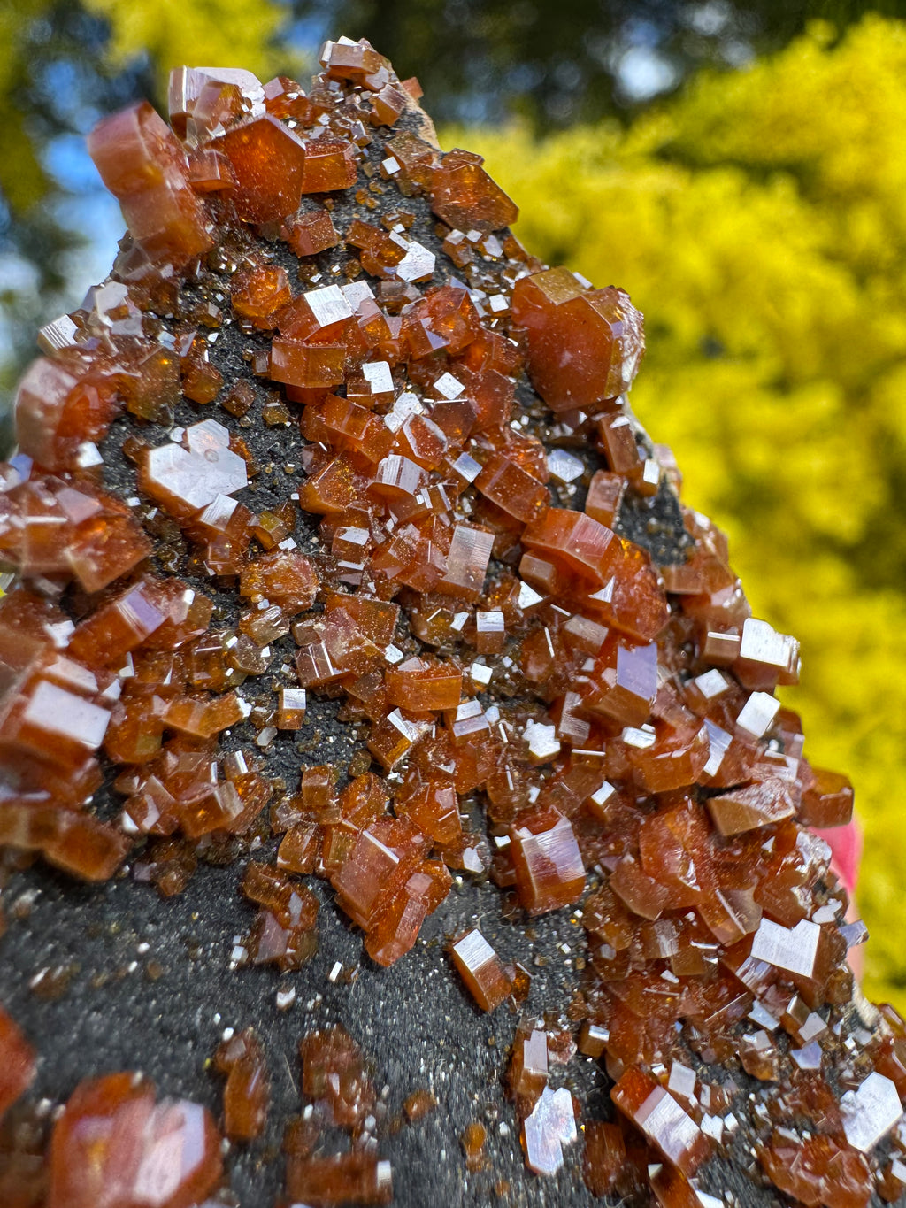 Vanadinite and Black Barite Specimen