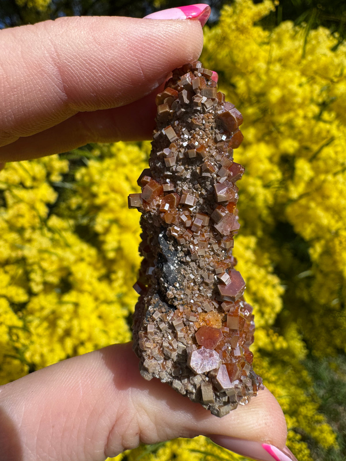 Vanadinite and Black Barite Specimen
