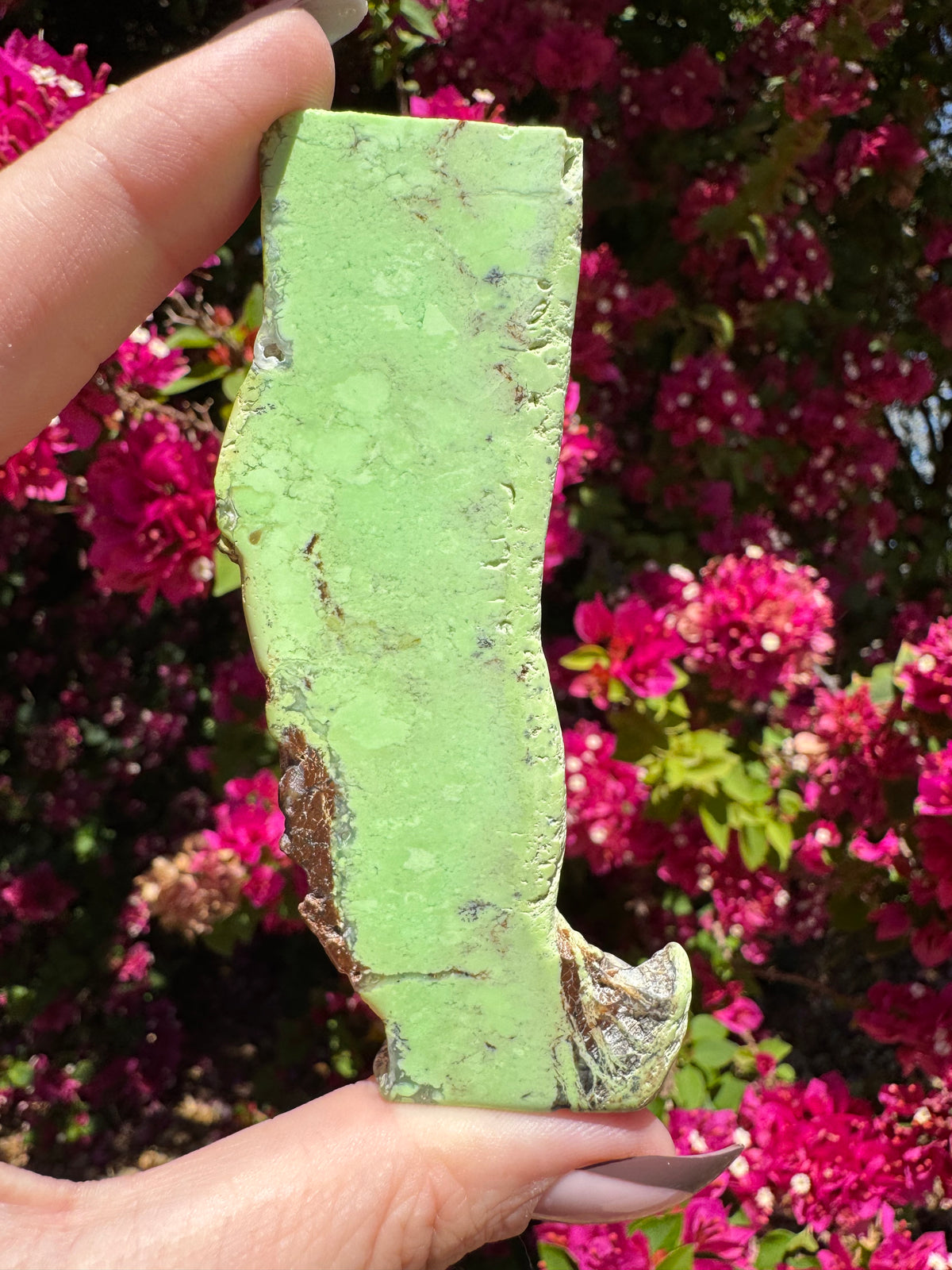 Lemon Chrysoprase Slice | Yerilla
