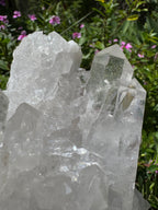 Clear Quartz Cluster - A+/AA Grade