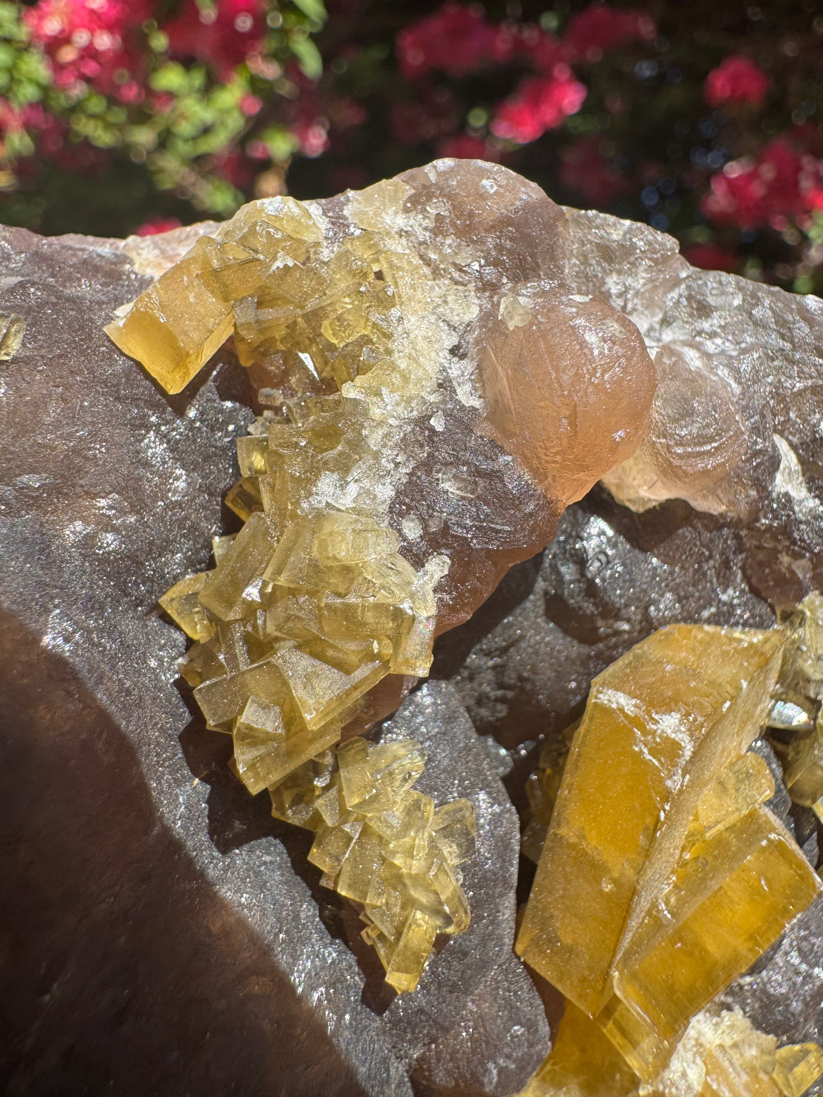 Golden Barite With Botryoidal Chocolate Calcite Specimen | 1.6kg