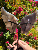 Druzy Agate Wings on Stand