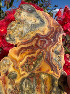 Crazy Lace Agate Polished Slice - Hamersley Ranges