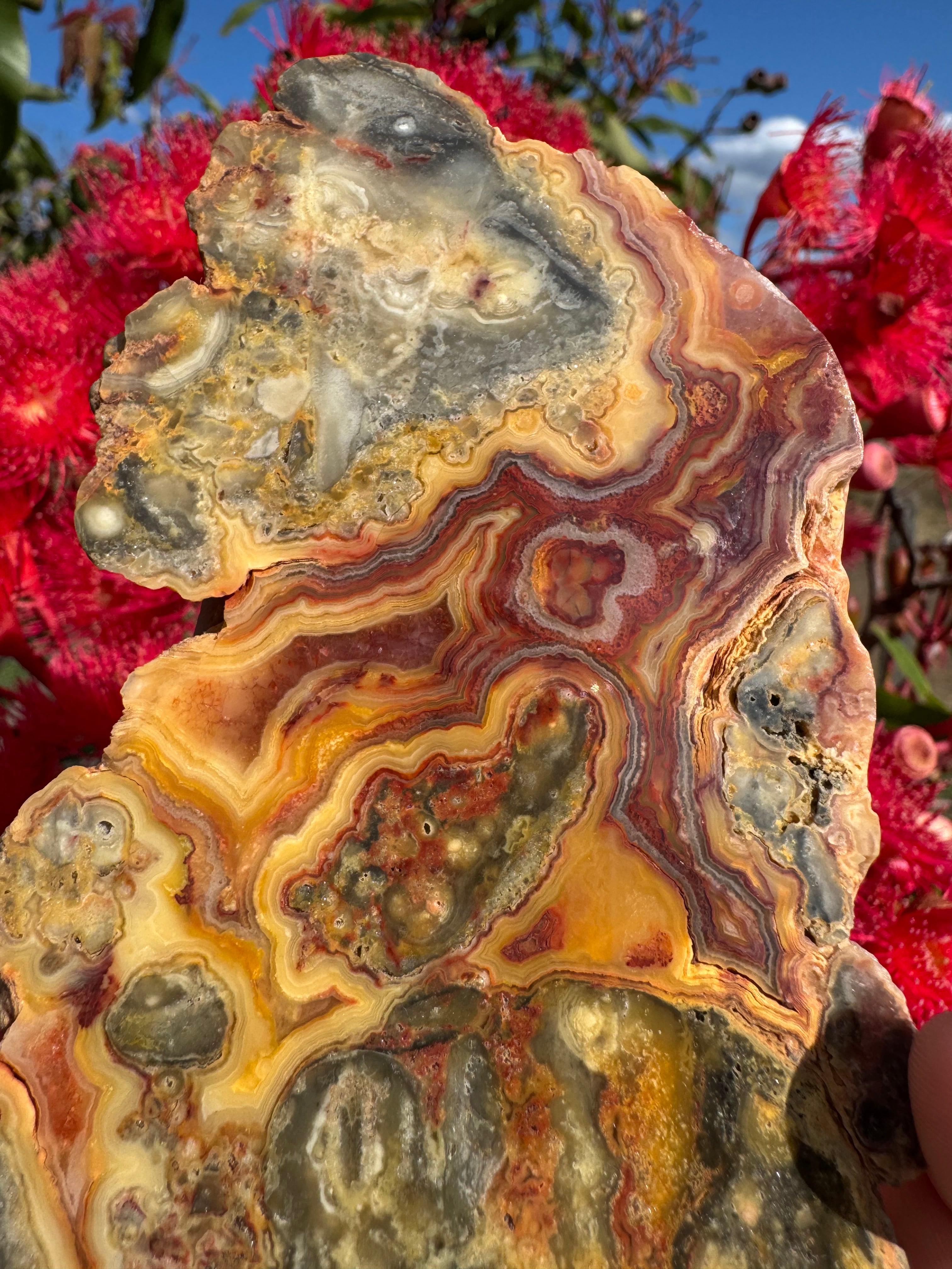 Crazy Lace Agate Polished Slice - Hamersley Ranges