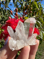Himalayan Quartz Cluster