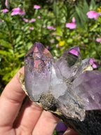 Vera Cruz Amethyst Specimen