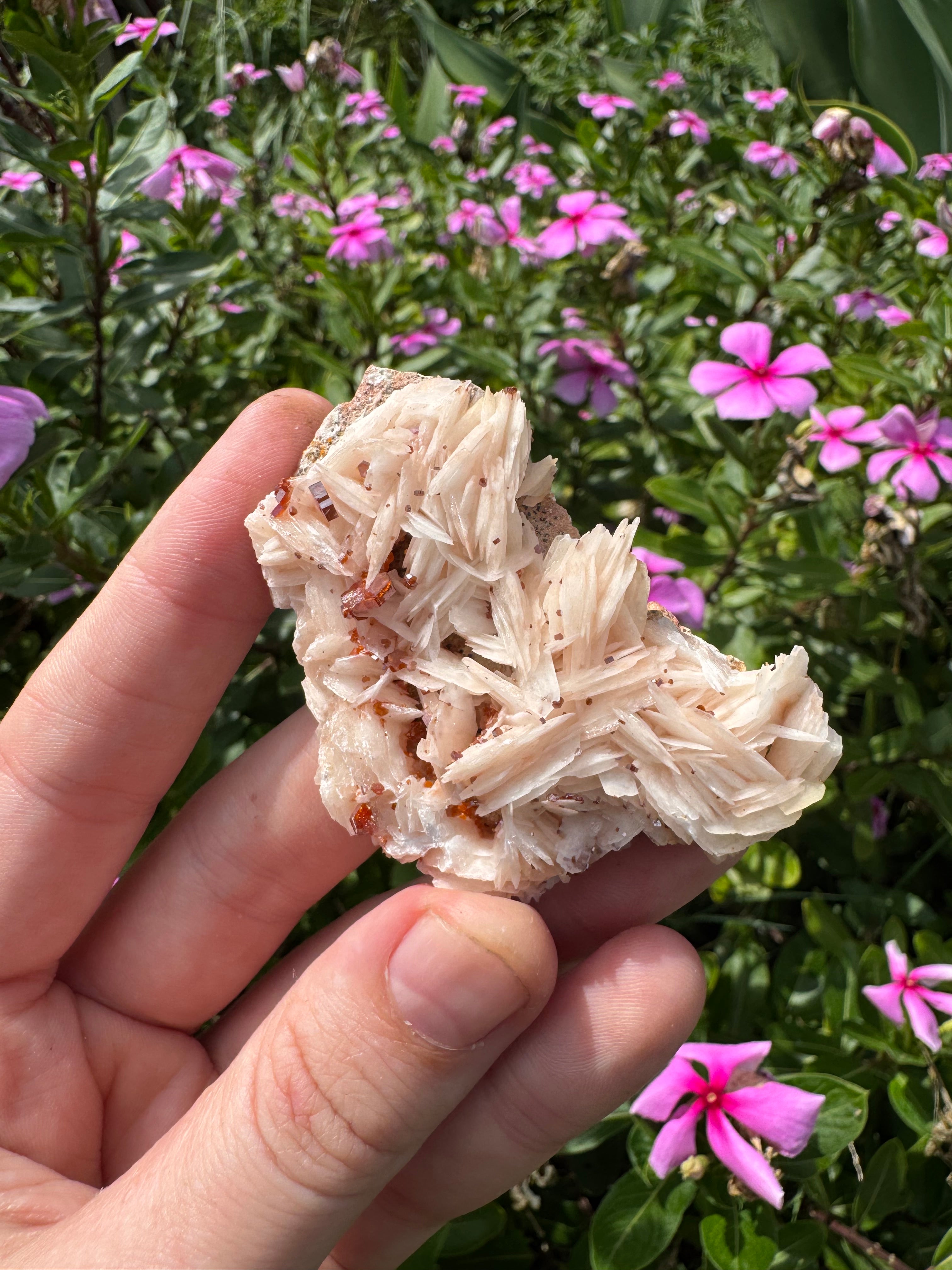 Vanadinite on Barite Specimen