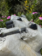 Black Tourmaline in Quartz Specimen