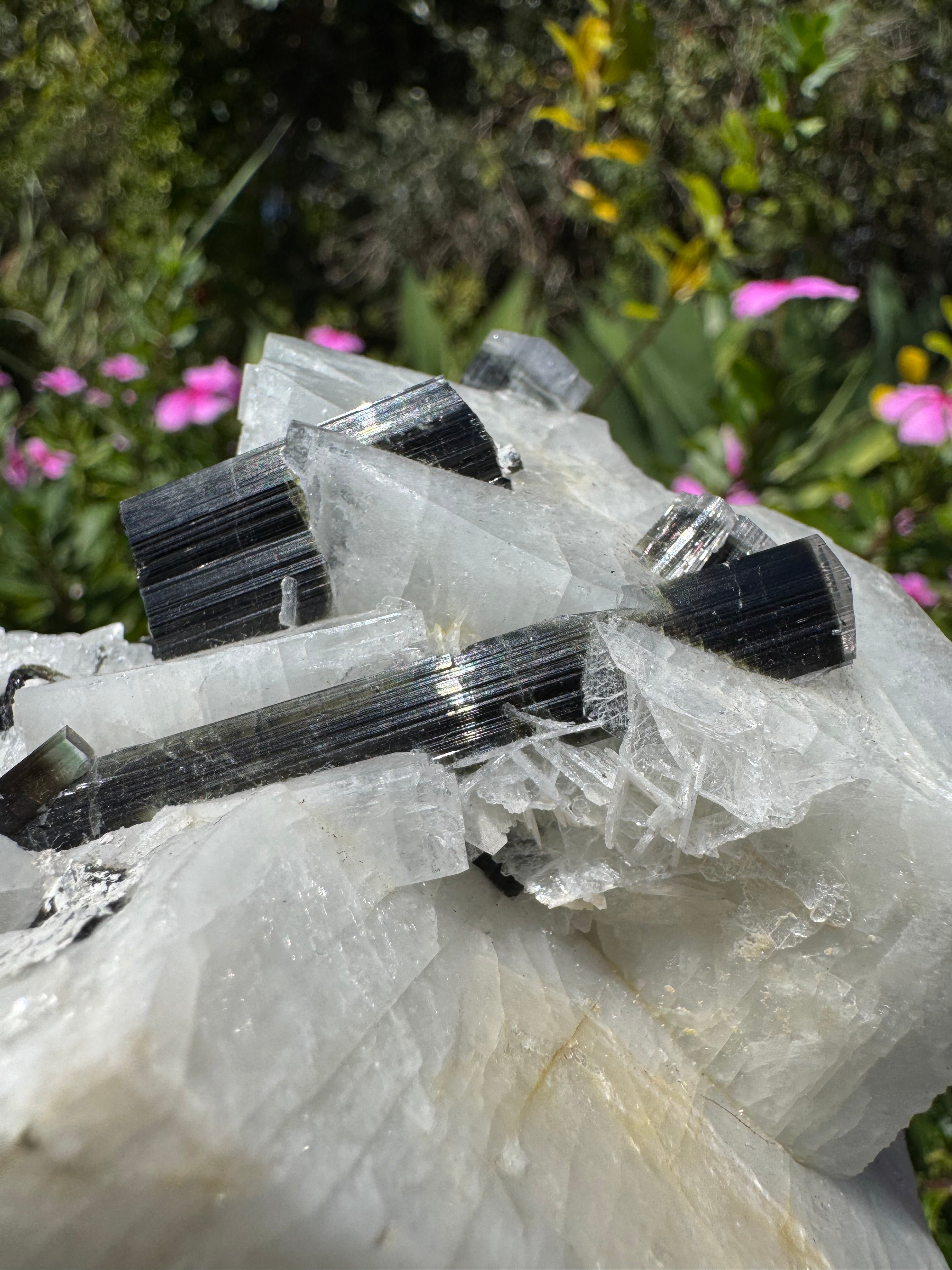 Black Tourmaline in Quartz Specimen