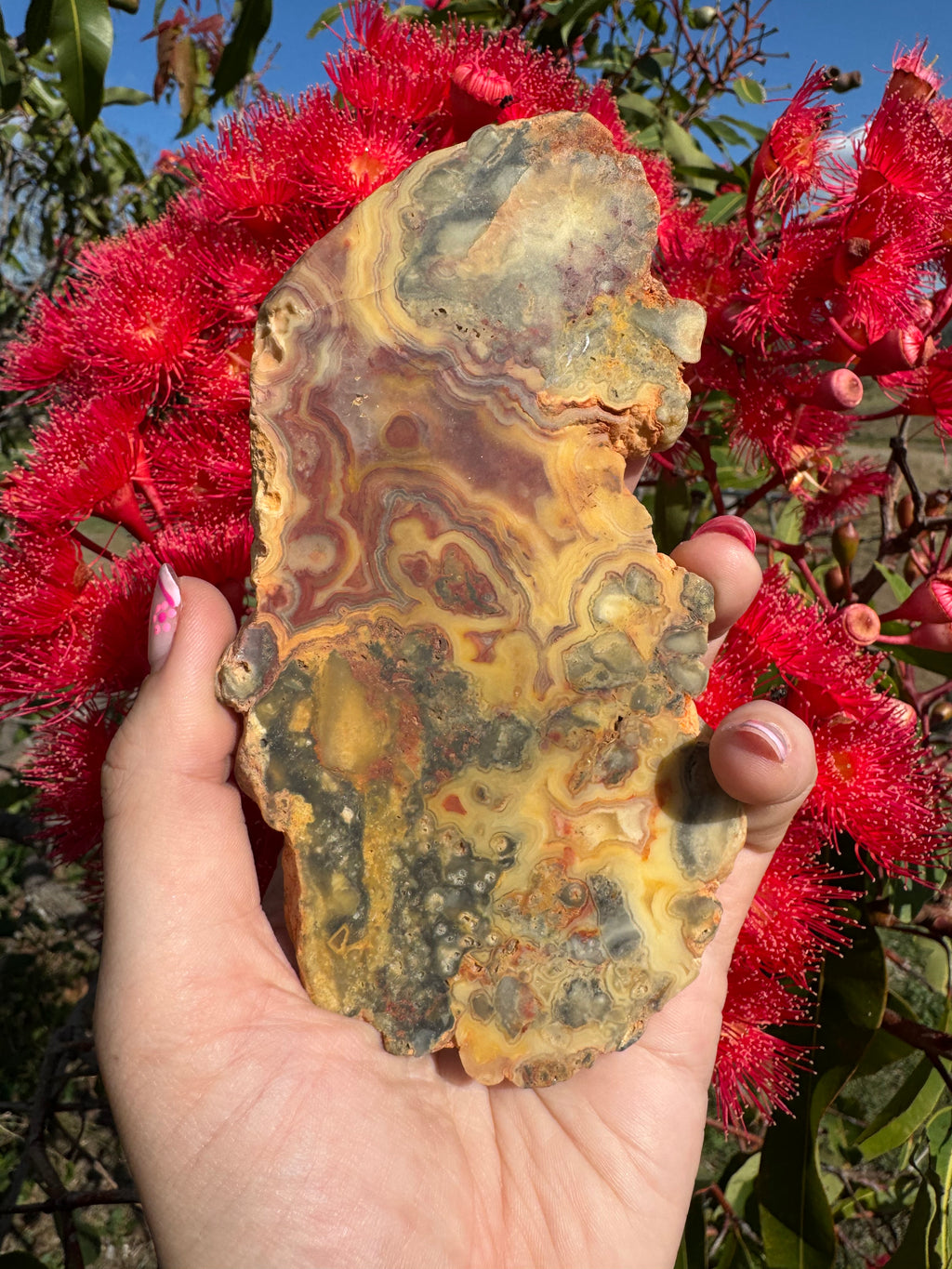 Crazy Lace Agate Polished Slice - Hamersley Ranges