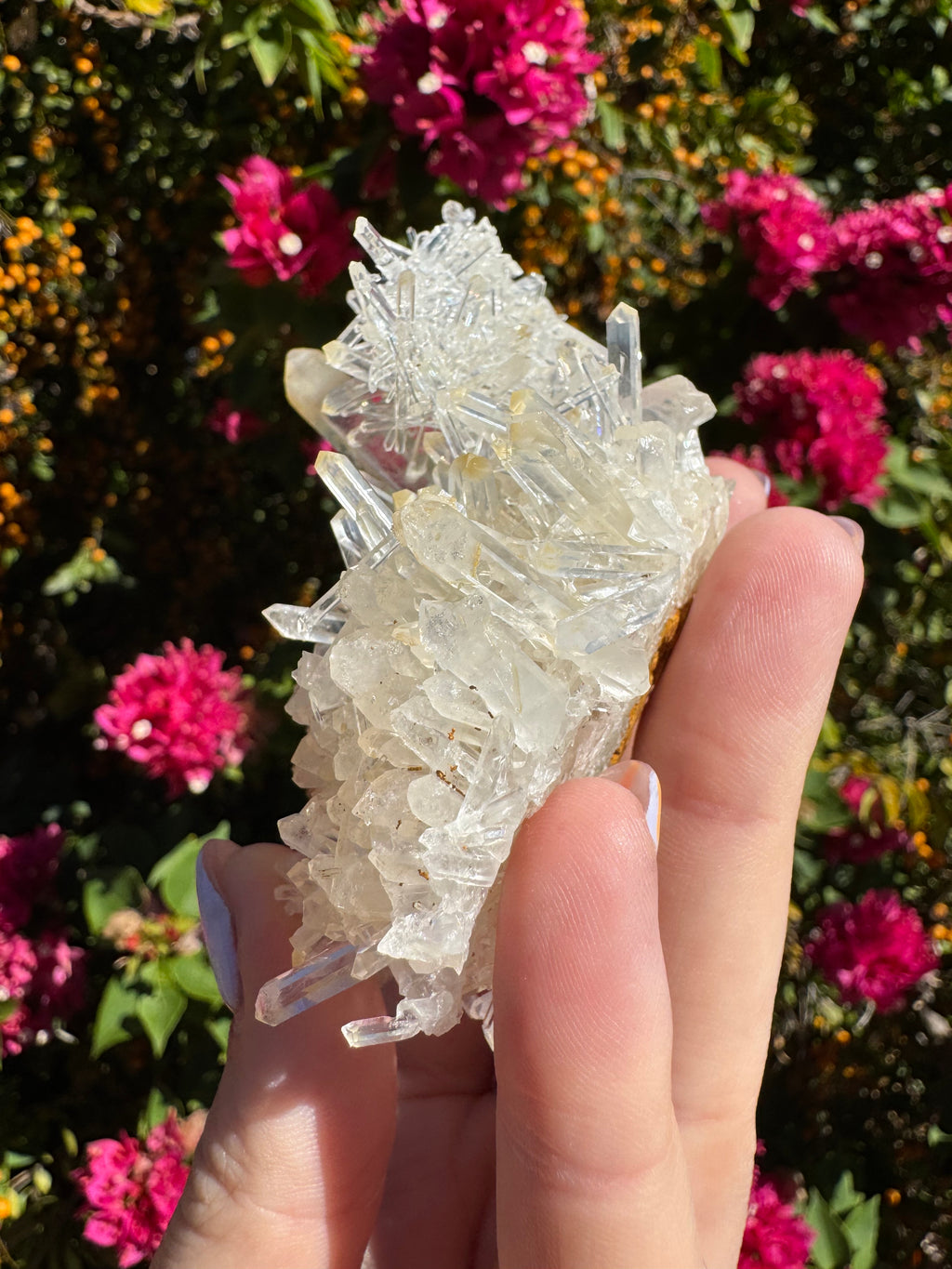 Lemurian ‘Mango’ Quartz Cluster