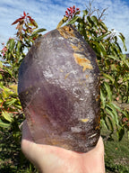 Inclusion Amethyst Freeform – Moving Enhydro