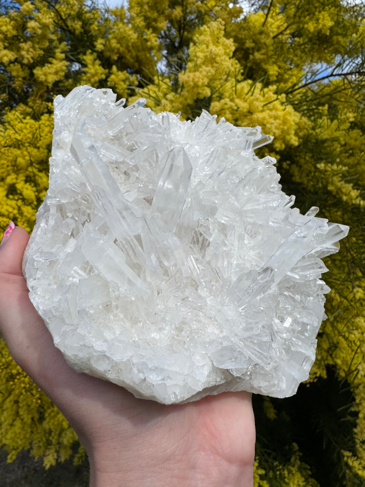 Clear Quartz Cluster