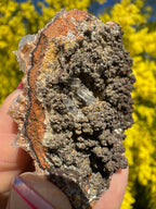 Clear Hemimorphite Cluster - Durango Mexico