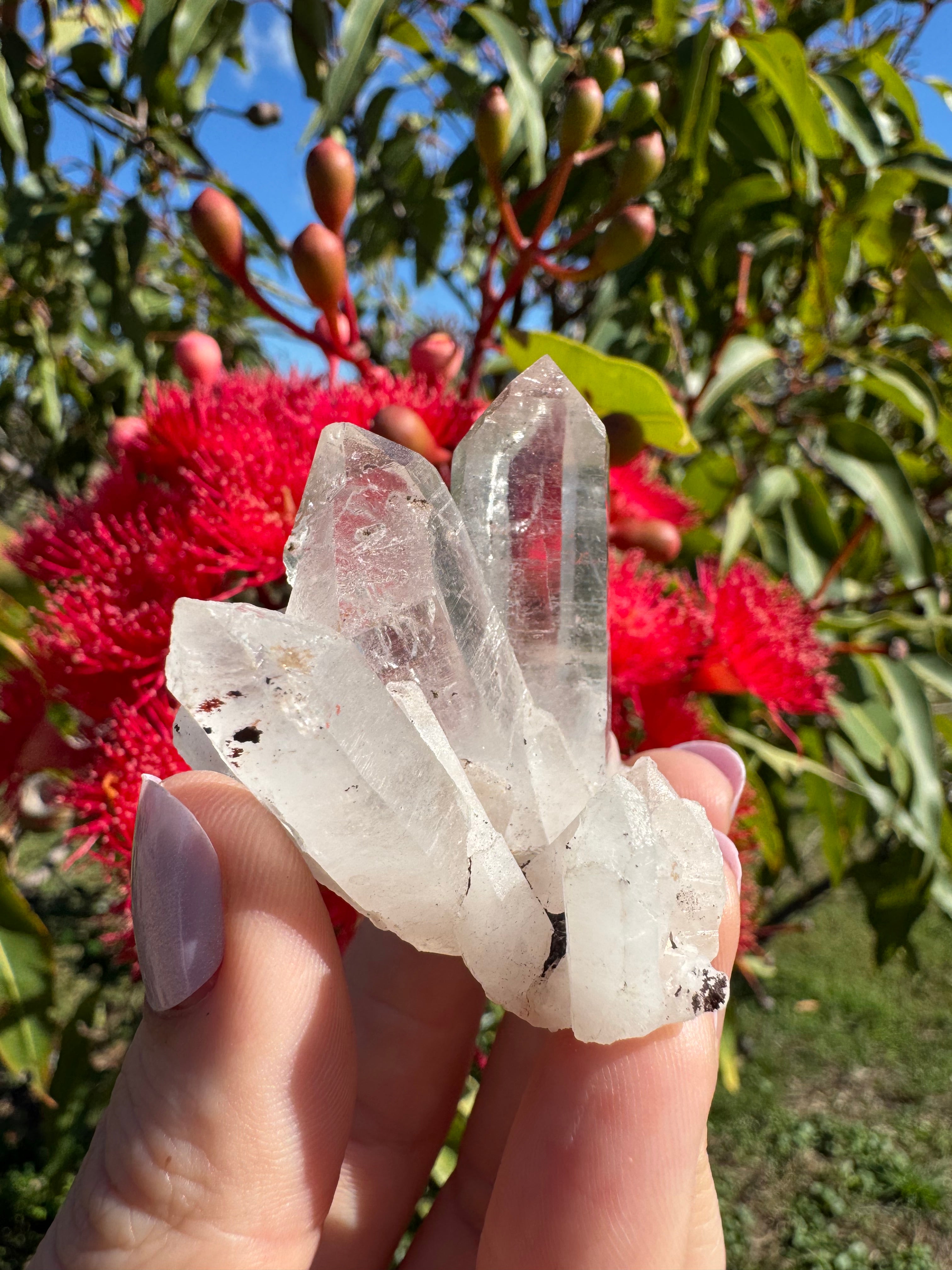 Himalayan Quartz Cluster