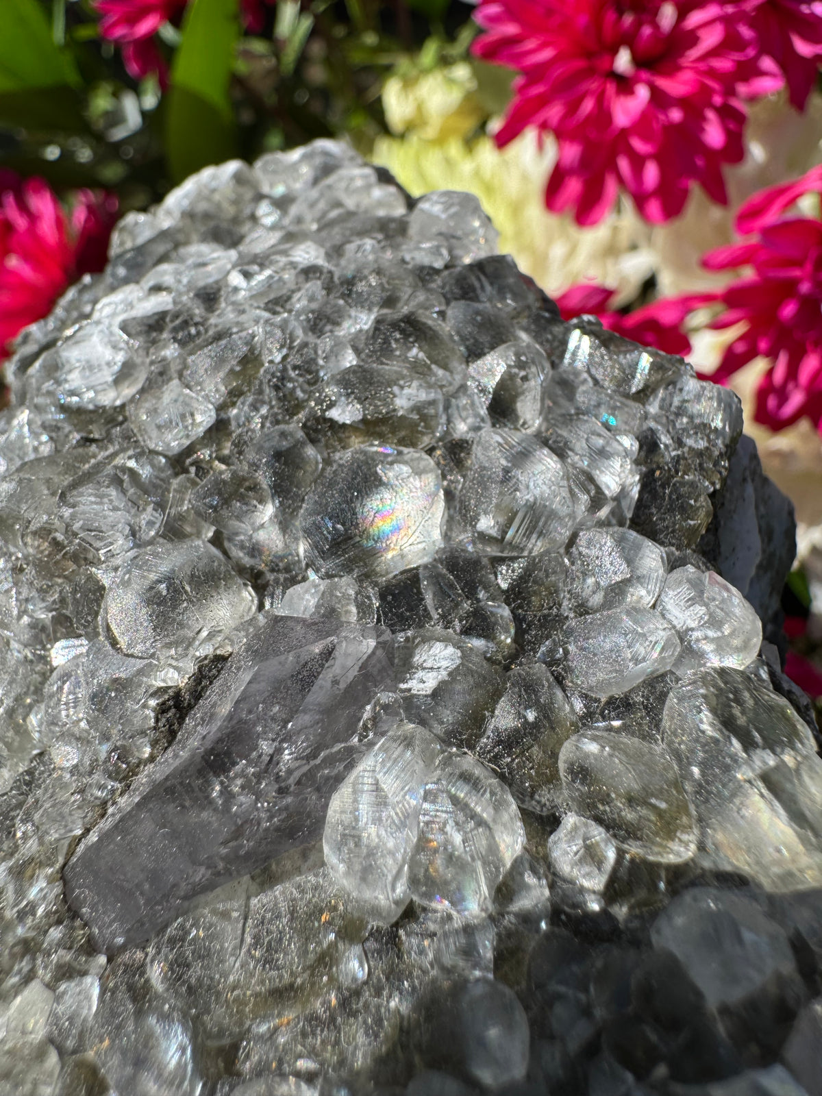 Amethyst Points With Botryoidal Green Fluorite Specimen - Brandberg