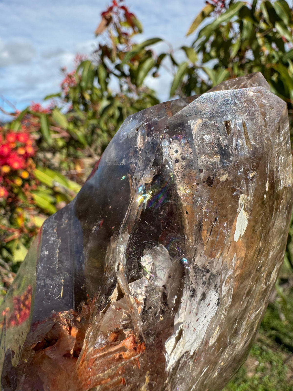 Rare Windowed Included Smoky Quartz Freeform - Triple Enhydro