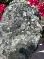 Amethyst Points With Botryoidal Green Fluorite Specimen - Brandberg