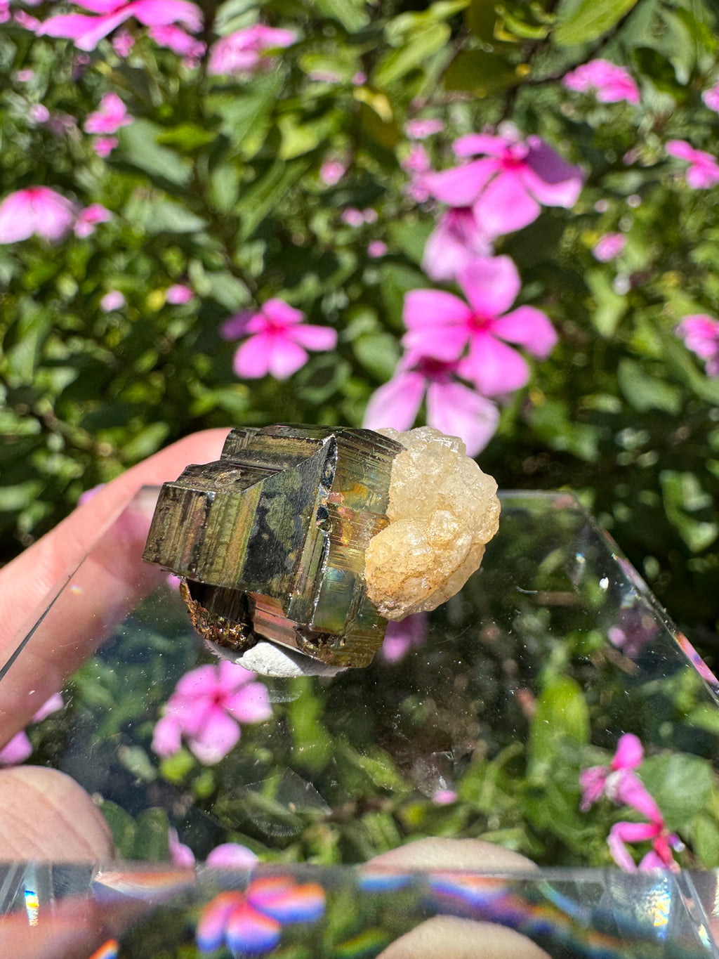 Iridescent Pyrite With Stilbite Cluster - A Grade