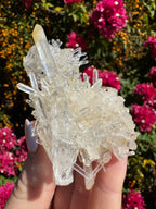 Lemurian ‘Mango’ Quartz Cluster
