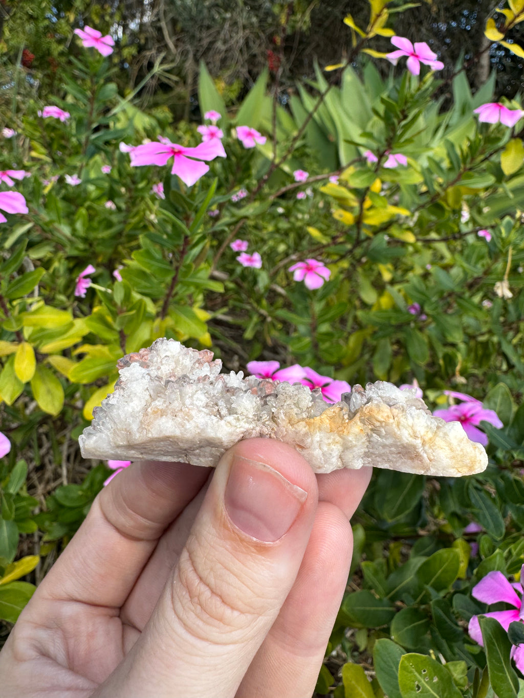 Hematite Quartz Specimen - Mt Isa