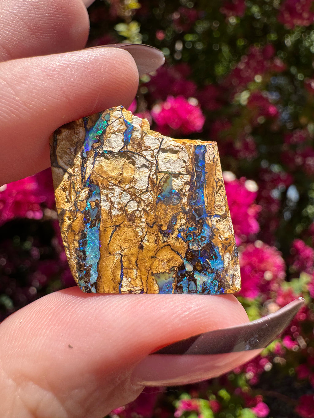 Opale boulder polie | Karoit