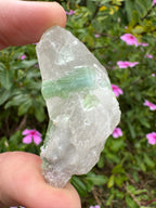 Green Tourmaline in Quartz Point - Pakistan