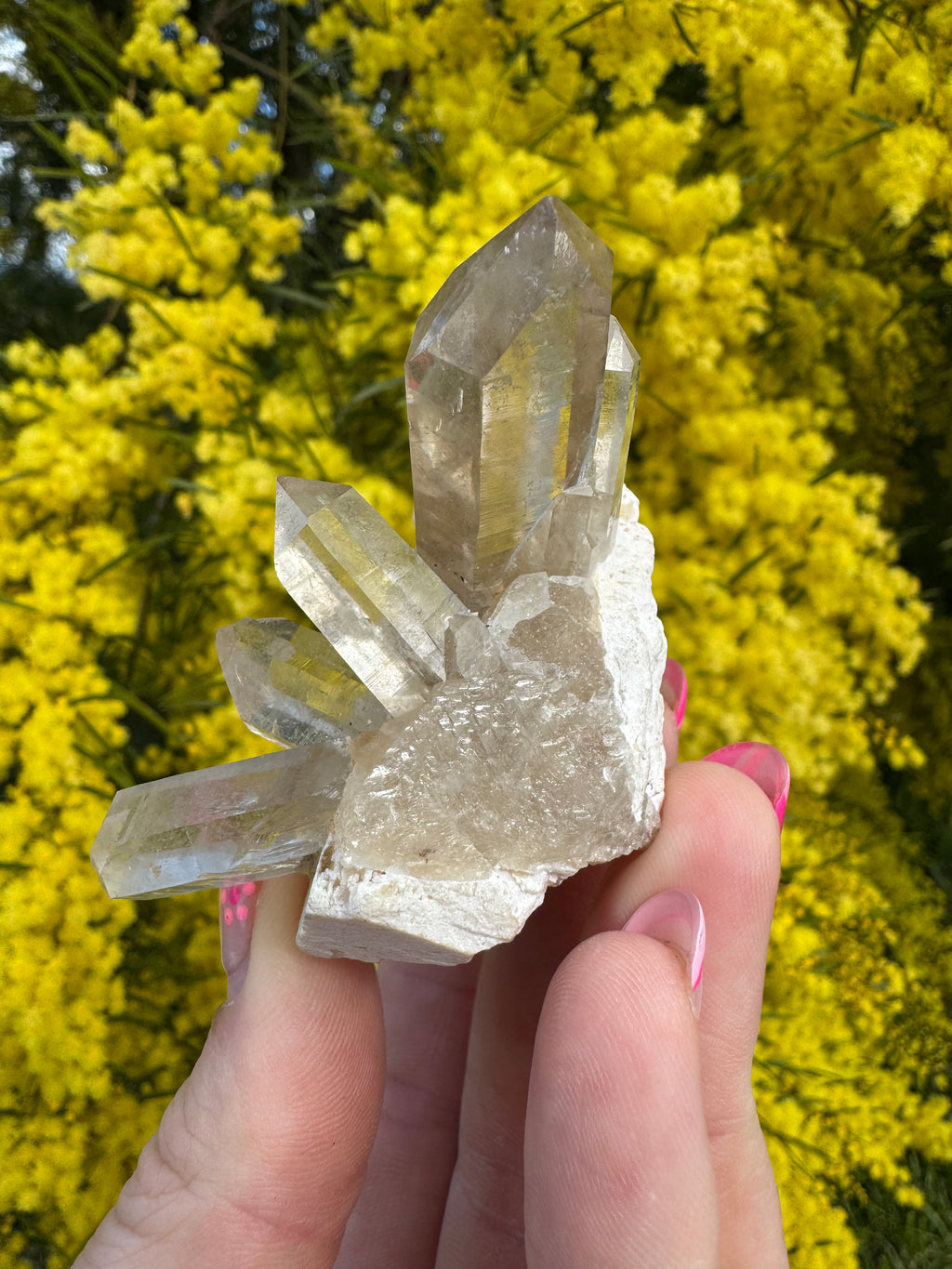 Himalayan Rutile-Included Citrine Quartz Cluster on Matrix