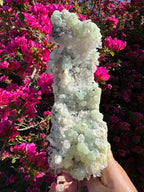 Préhnite botryoïdale avec quartz, épidote et tourmaline noire | Socle personnalisé