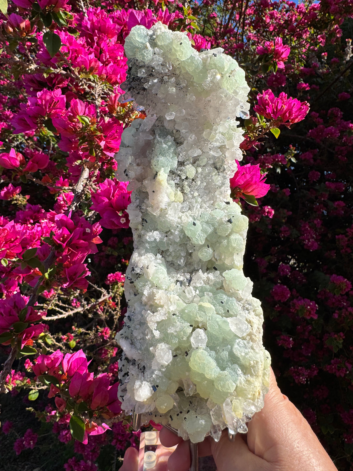 Botryoidal Prehnite With Quartz, Epidote & Black Tourmaline | Custom Stand