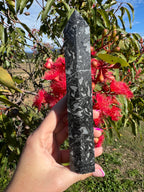 Black Crazy Lace Agate Generator
