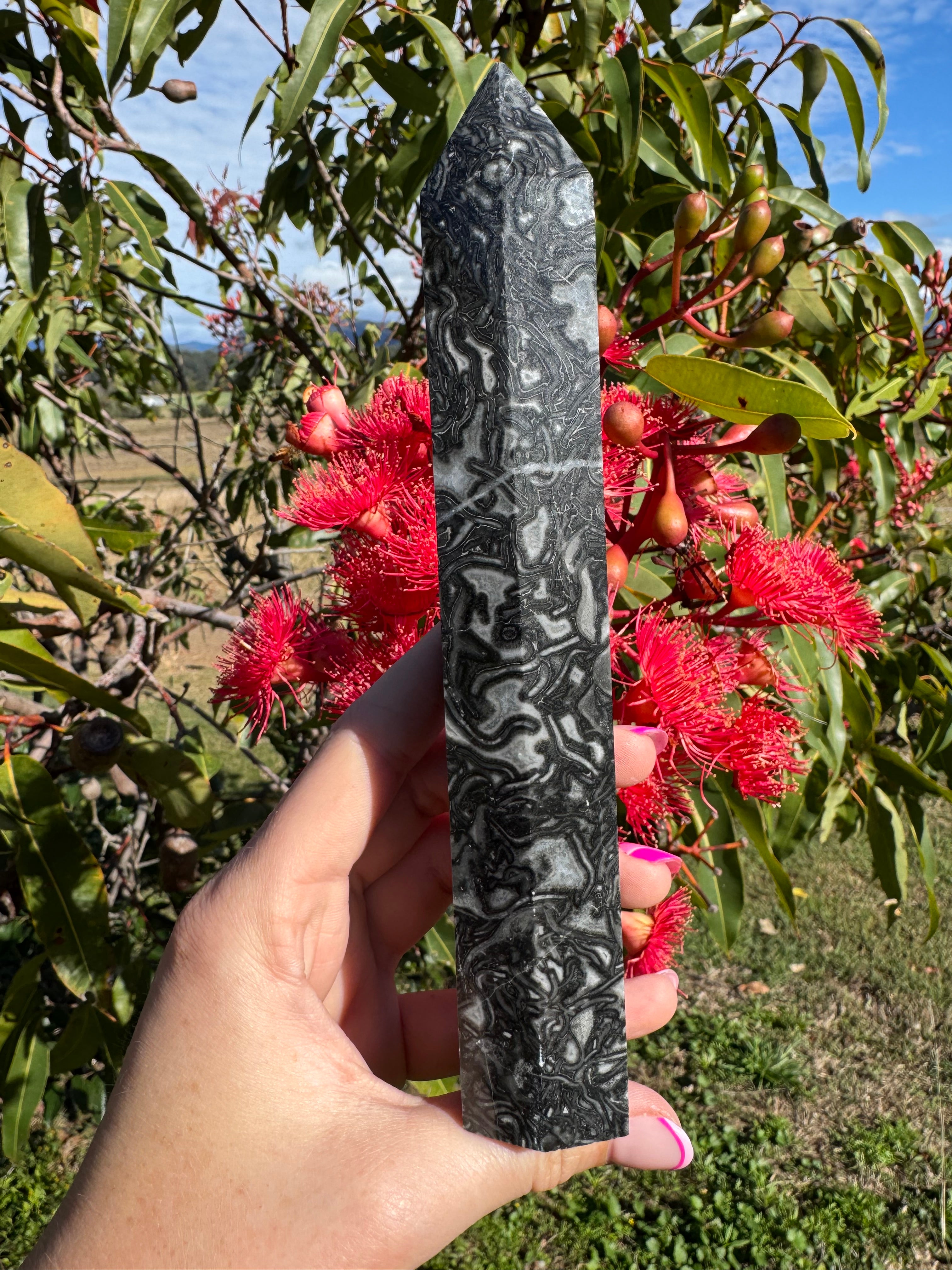 Black Crazy Lace Agate Generator
