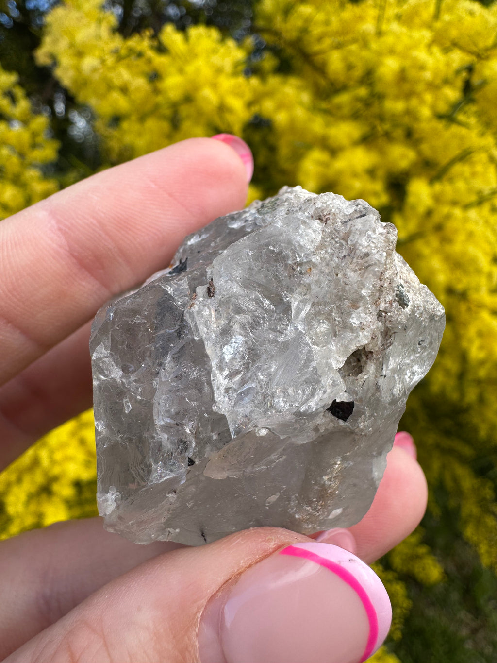 Black Tourmaline In Quartz Specimen