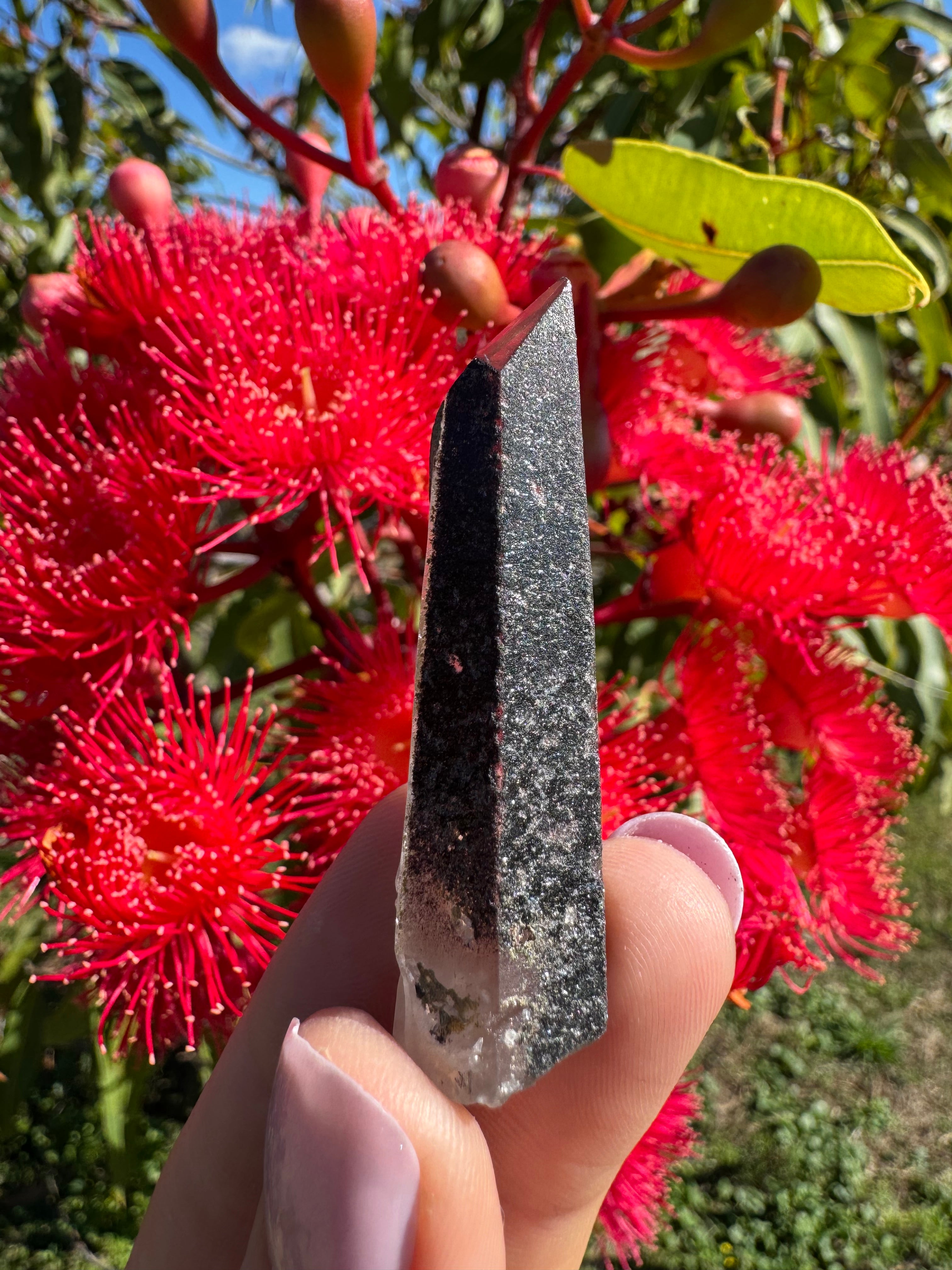 Hematite Coated Quartz Point