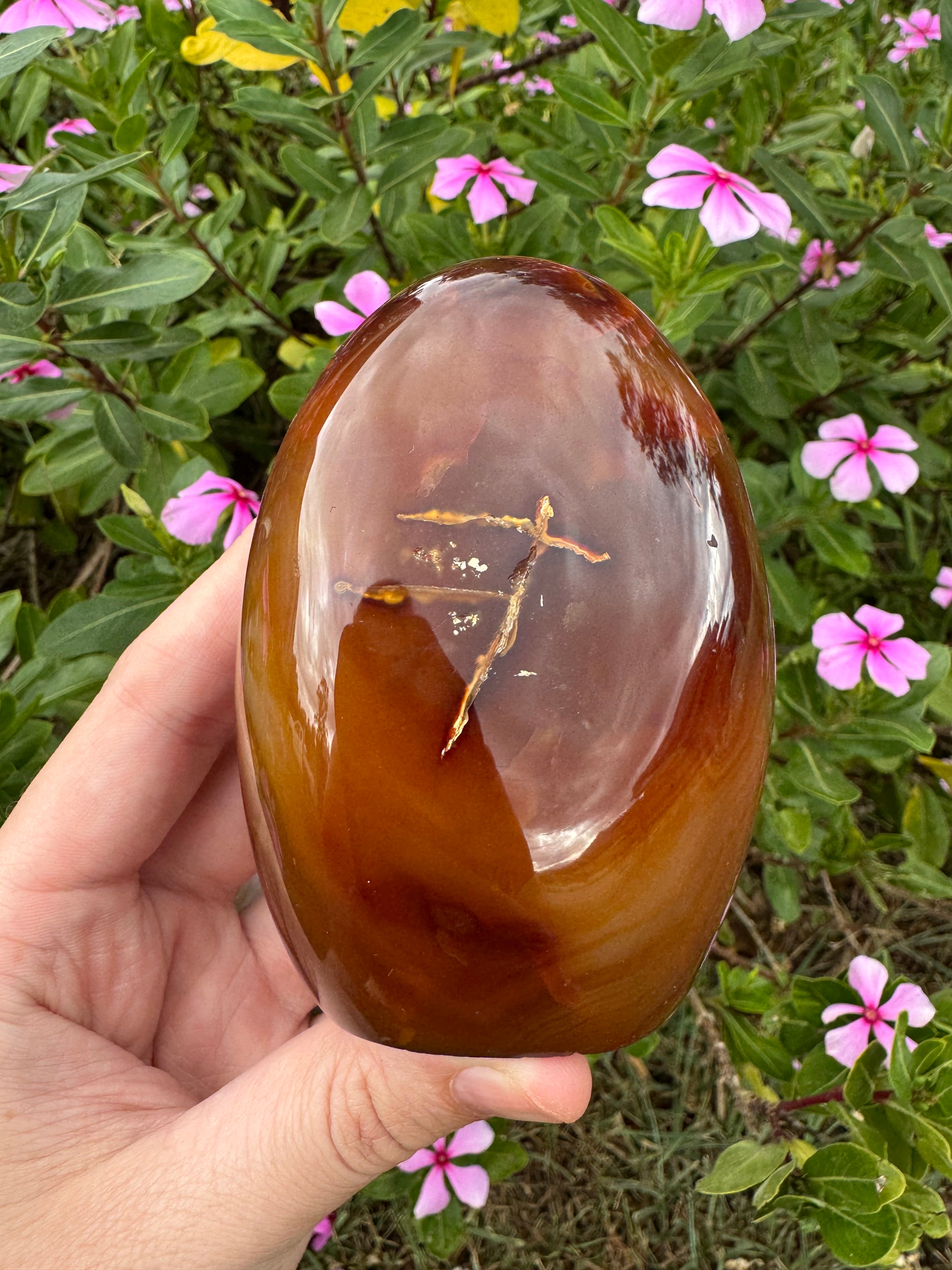 Carnelian Freeform - Natural Carved Inclusion