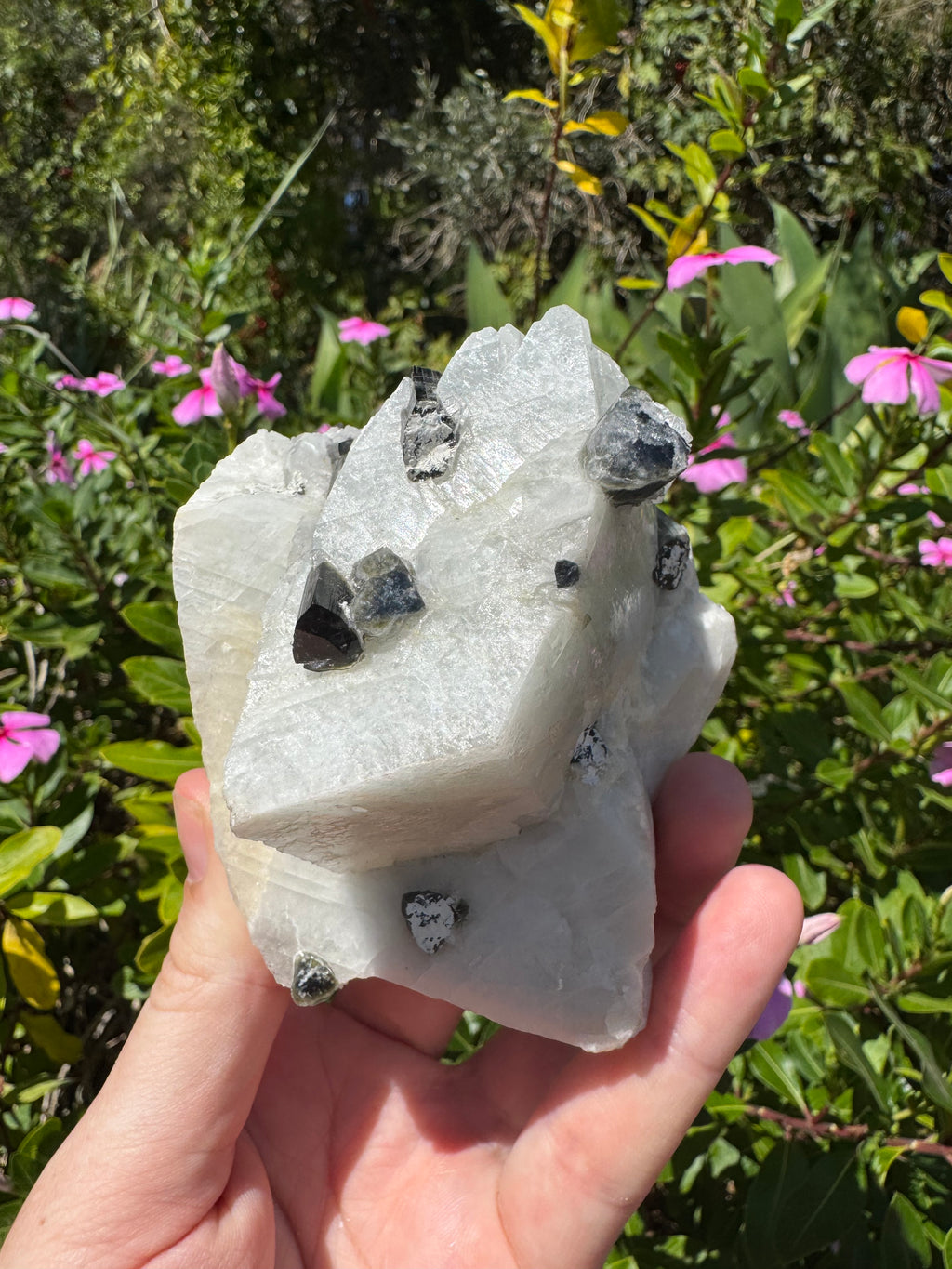 Black Tourmaline in Quartz Specimen