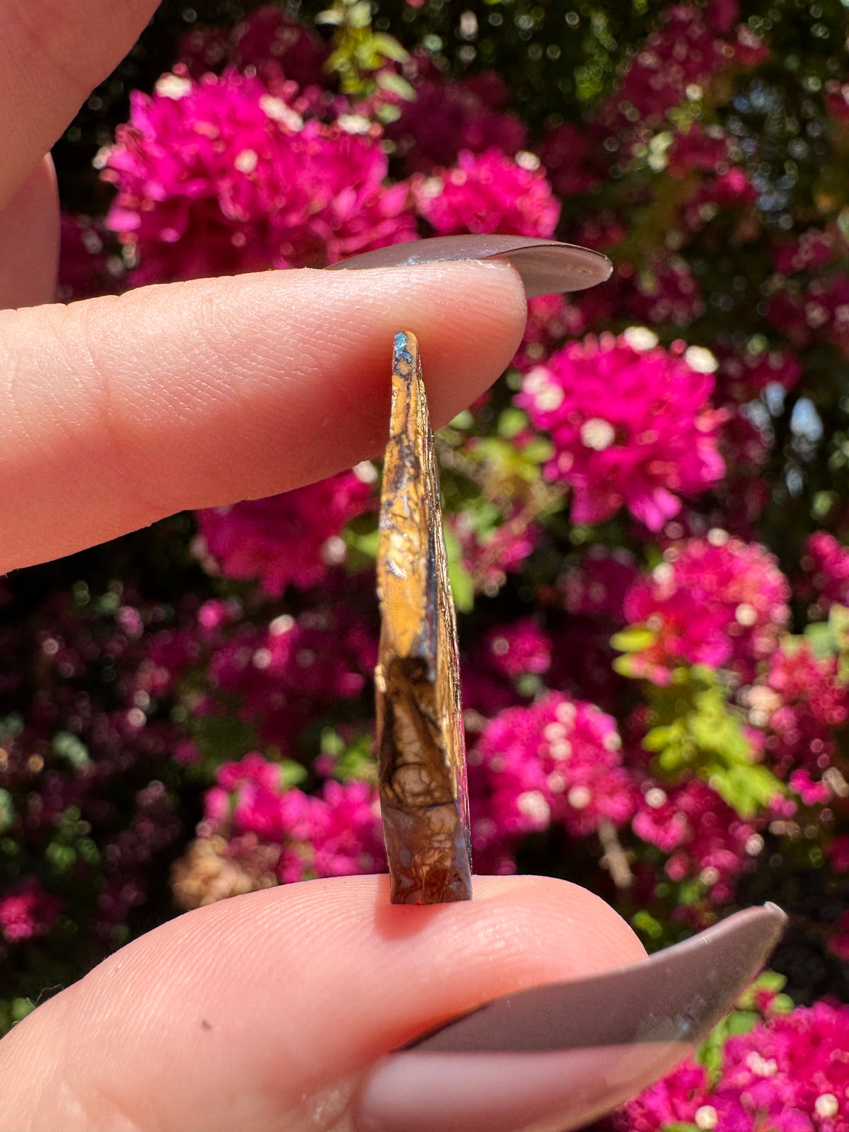 Polished Boulder Opal | Karoit