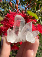 Himalayan Quartz Cluster