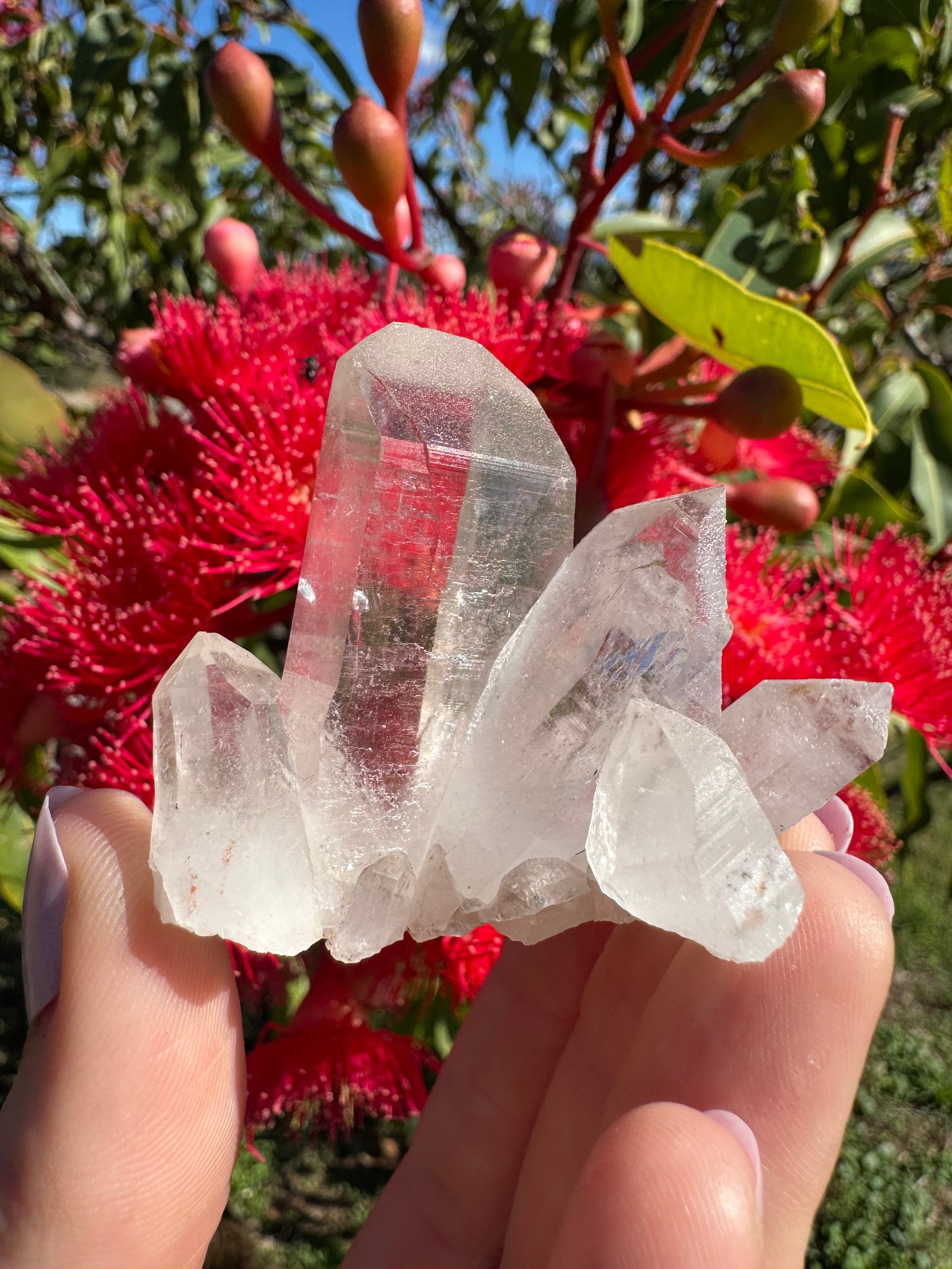 Himalayan Quartz Cluster