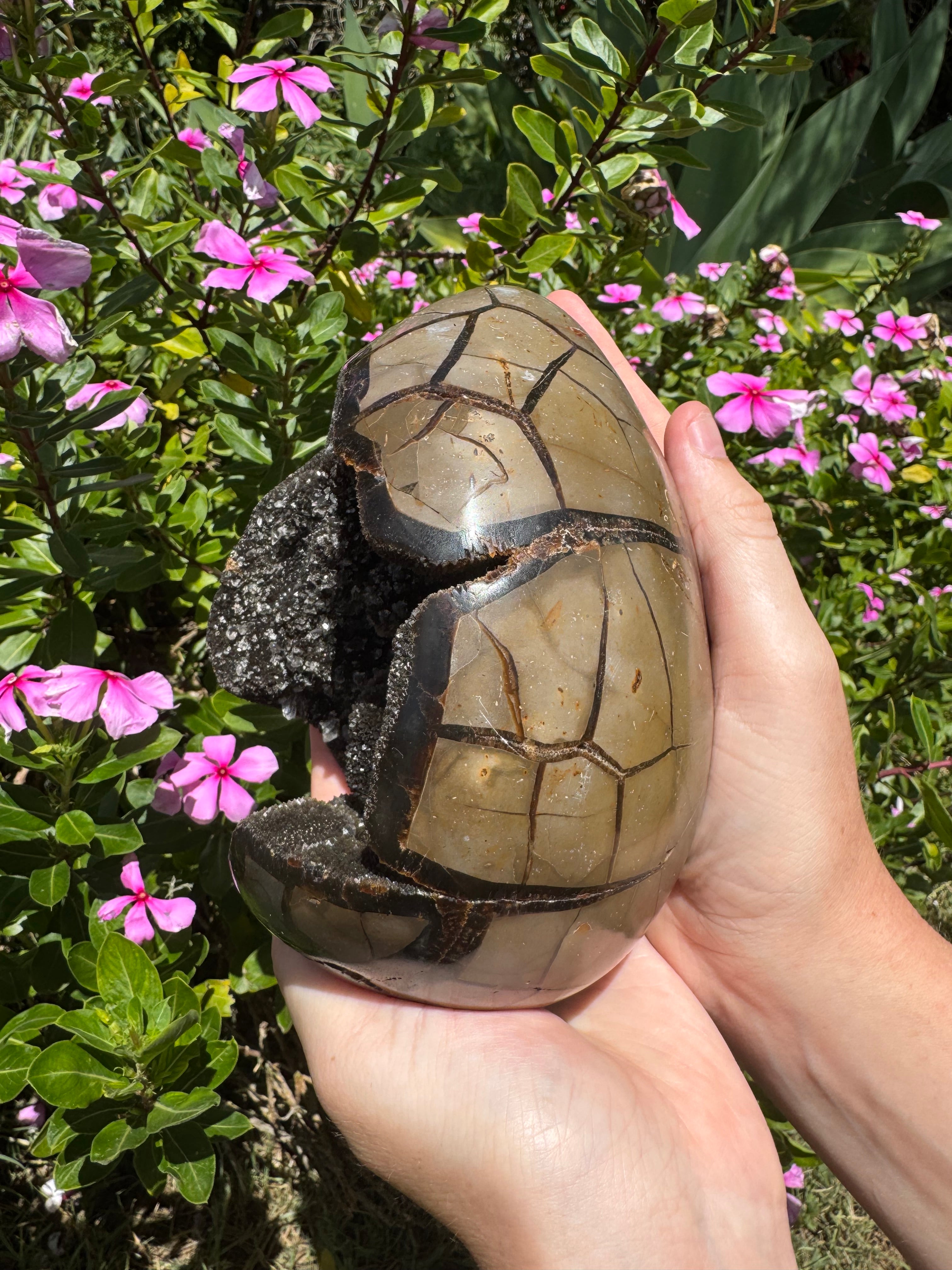 Septarian Druzy Egg with Calcite Inclusions - 2.446kg